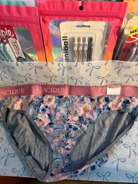 Lane Bryant cacique cotton hipster panty 18/20 w\tag